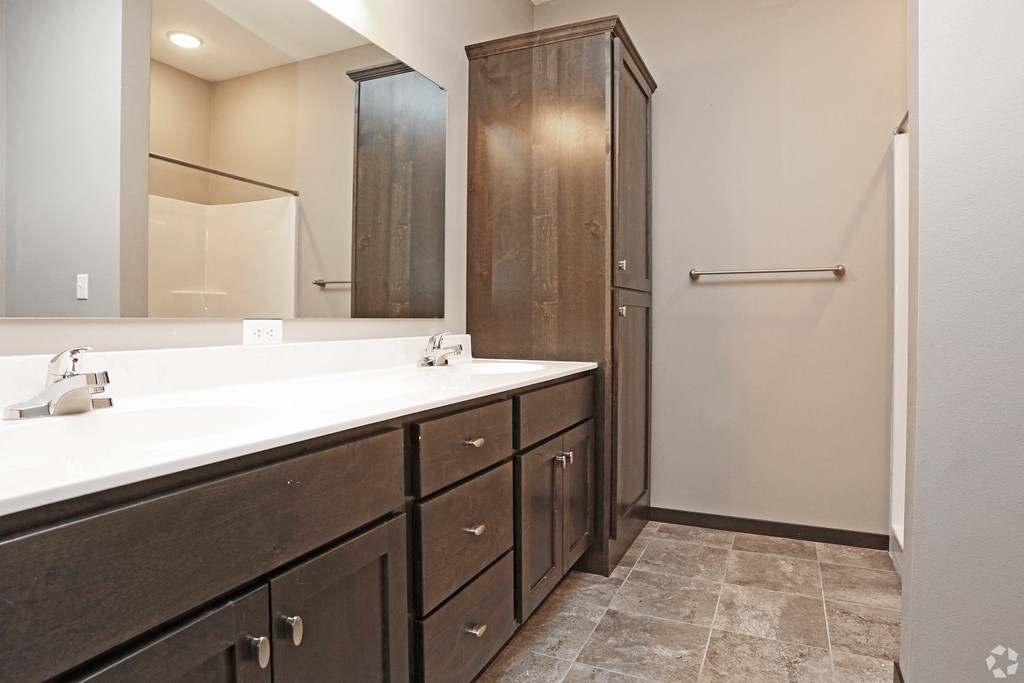a bathroom with a sink and a mirror and a shower