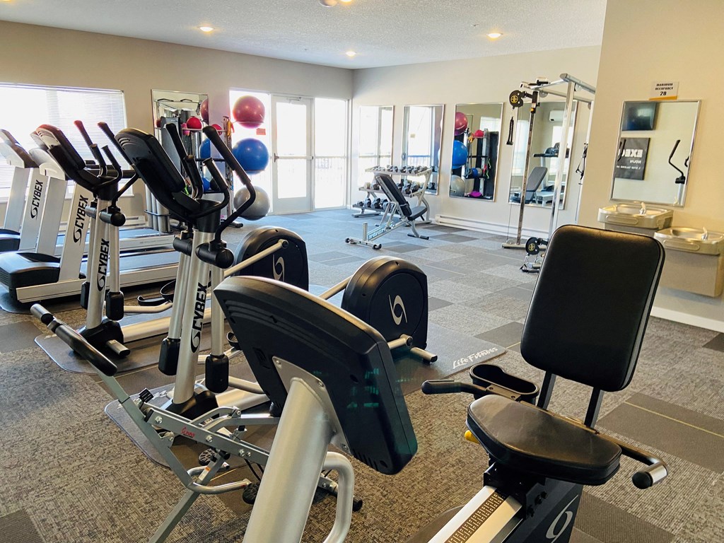 a state of the art gym with cardio equipment and weights