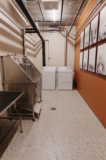 a large room with a sink and washing machines