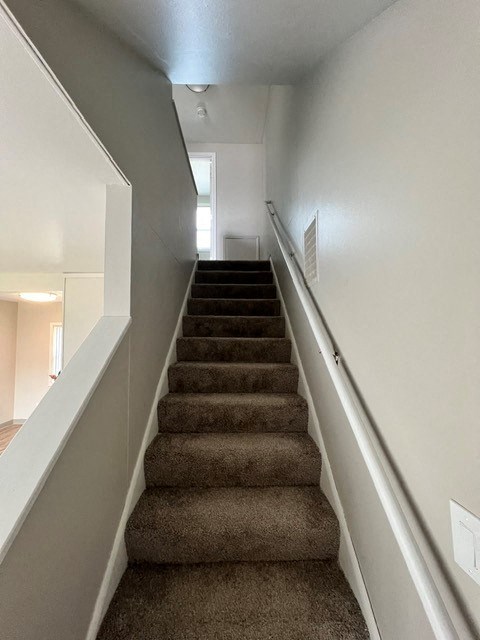 a staircase with carpeted stairs leading up to a house