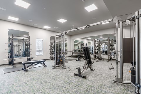 A gym with a variety of equipment including a squat rack at Bloom, Wisconsin