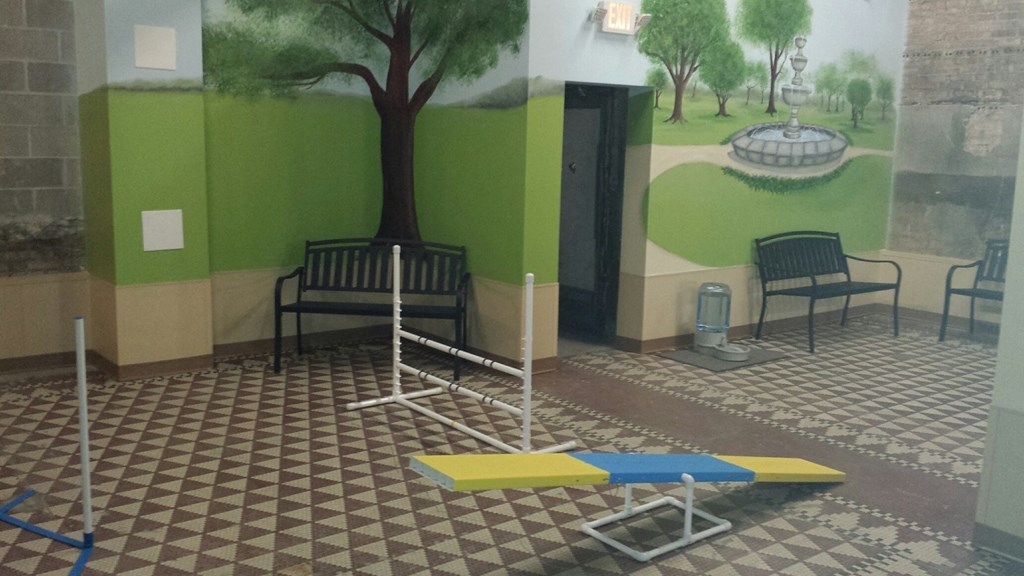 Pet play area at Grand Wisconsin, Wisconsin , 53203