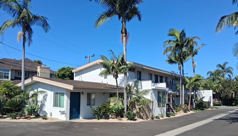 A row of houses with palm trees in front.