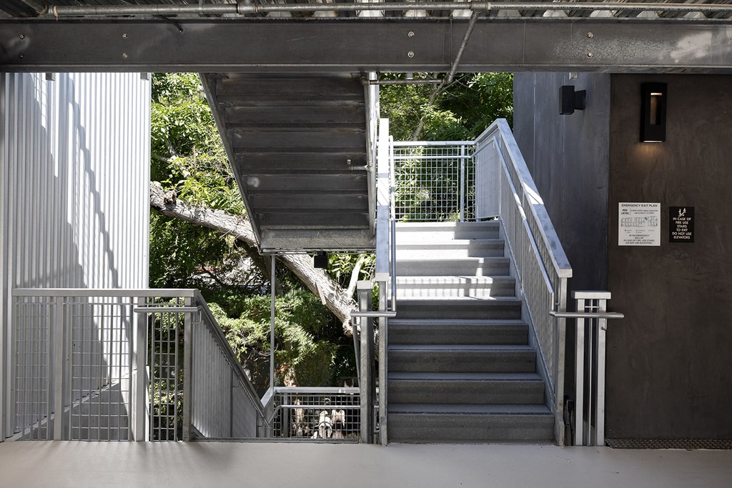 ArtLofts Center Stairs