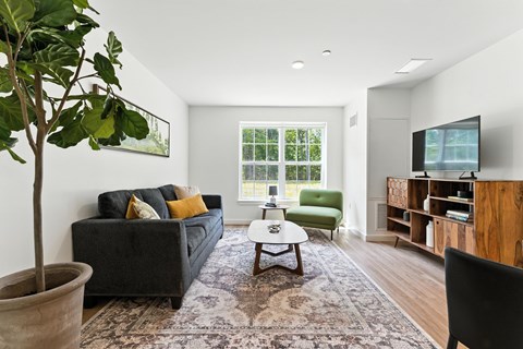 A living room with a grey couch and a green chair.