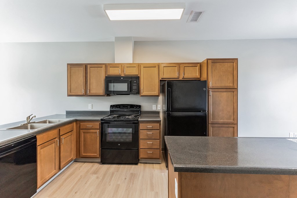 Kitchen with black appliances