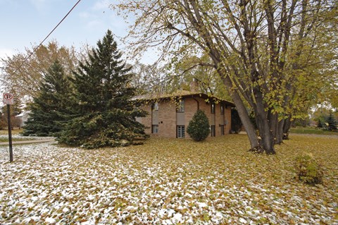 A house with a brown roof and a tree in front of it.