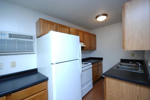 A kitchen with a white refrigerator, black countertops, and wooden cabinets.