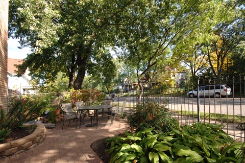 A backyard with a table and chairs surrounded by trees.