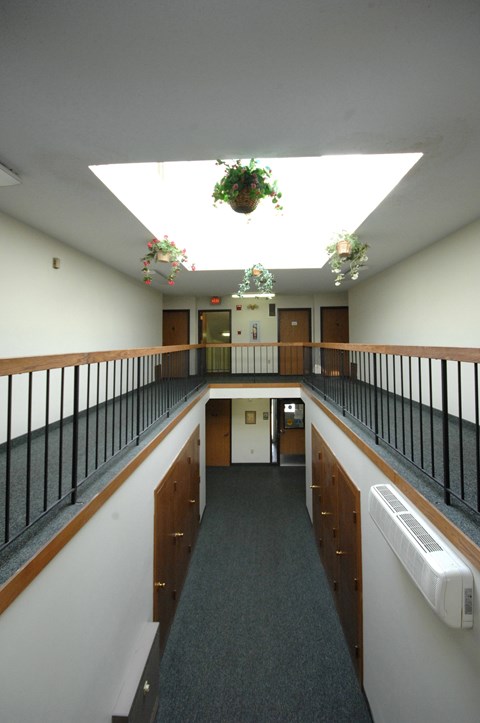 A long hallway with a skylight and hanging plants.