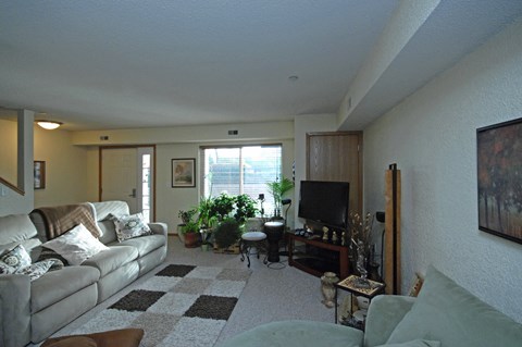 A living room with a couch, a coffee table, and a television.