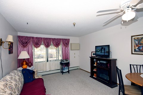A living room with a couch, a television, and a fireplace.
