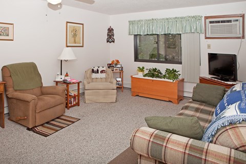 A living room with a couch, chair, and television.