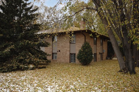 A house with a brown roof and a chimney is surrounded by trees and a field of fallen leaves.
