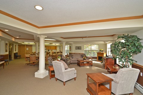 A living room with a large tree in the corner.