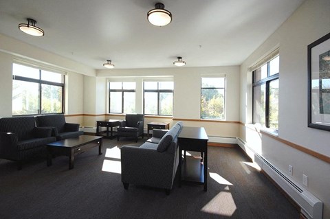 A living room with a grey carpet and black furniture.