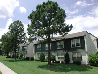 an apartment building with a large tree in front of it
