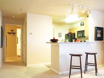 101 Campus Suites Road 2-4 Beds Apartment, Student for Rent - Photo Gallery 4