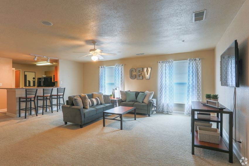a living room with couches and a coffee table - Photo Gallery