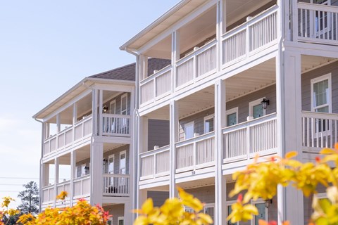 A white building with balconies and windows is surrounded by yellow flowers.