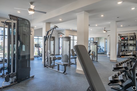 A gym with a variety of equipment including treadmills, weights, and a bench press.