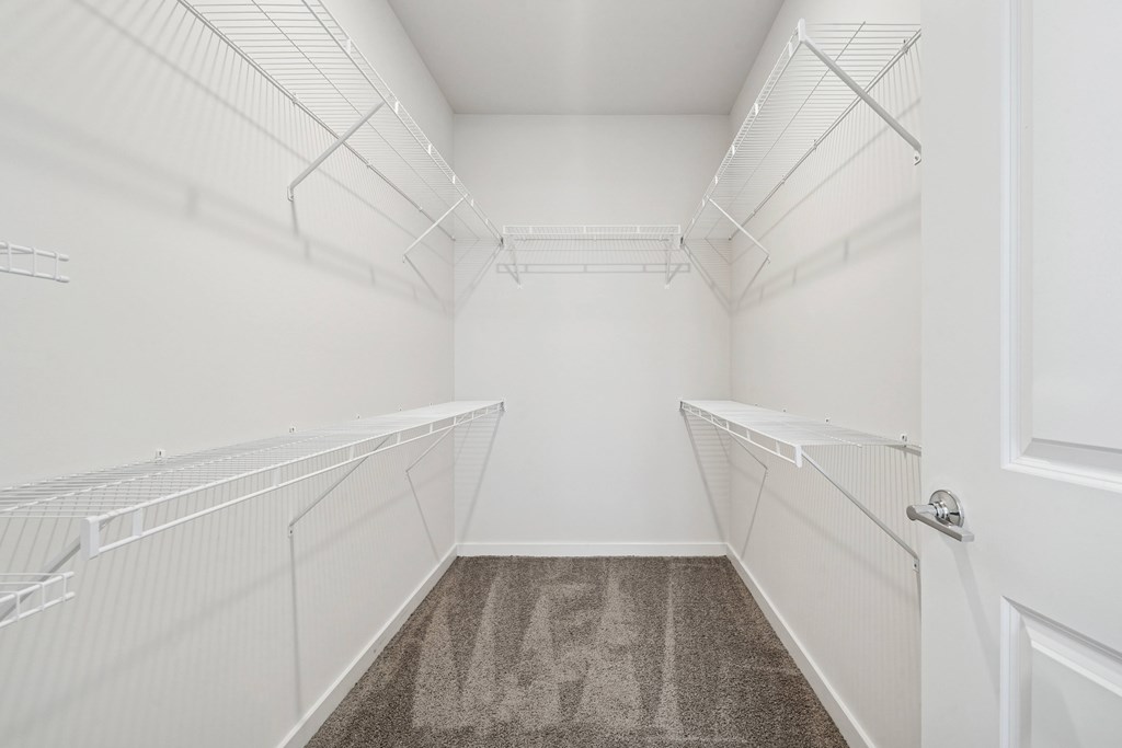 A white walk-in closet with a carpeted floor and white walls.