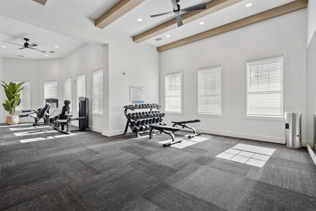 A spacious gym with a variety of equipment and a plant in the corner.