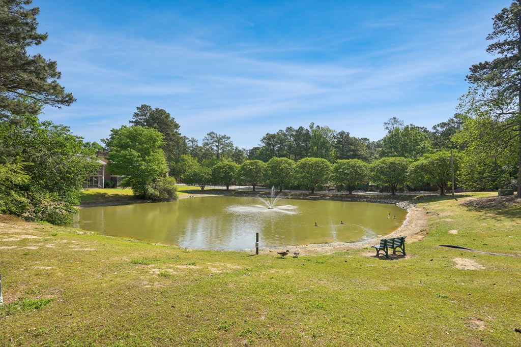 a small pond in a park with a bench