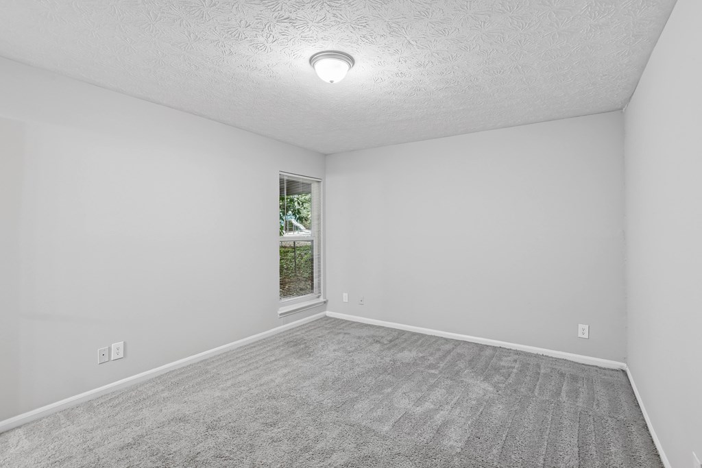A room with a carpeted floor and a window showing greenery outside.