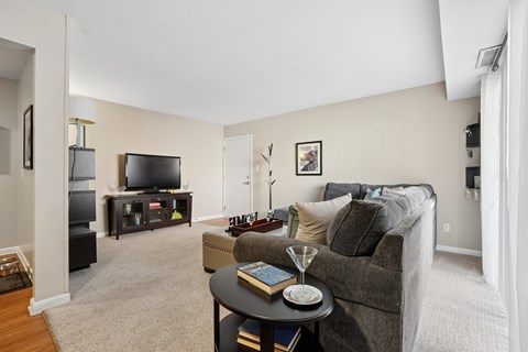 A living room with a grey couch, a black coffee table, and a flat screen TV.