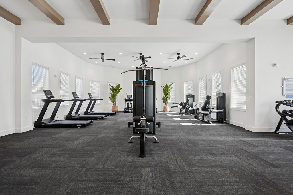 A gym with treadmills, elliptical machines, and a rowing machine.