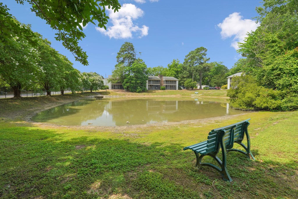 A green bench sits in front of a pond in a park.