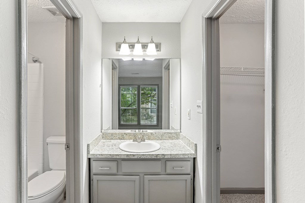 A bathroom with a sink, mirror, and toilet.