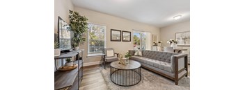 A living room with a grey sofa, a coffee table, and a potted plant.