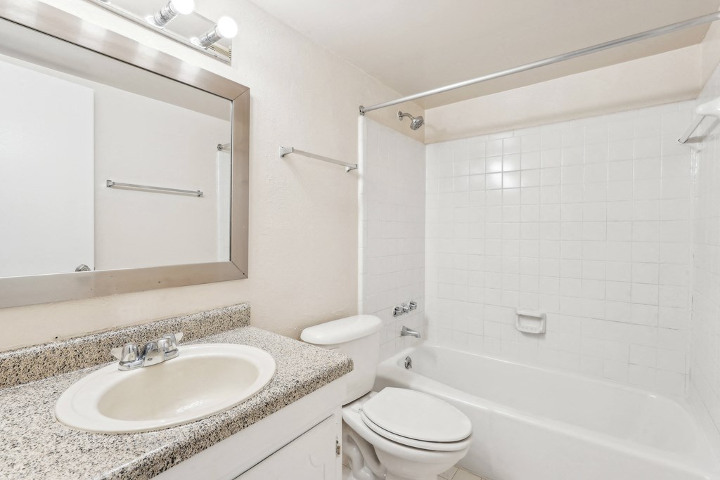 a bathroom with a sink toilet and tub and a mirror