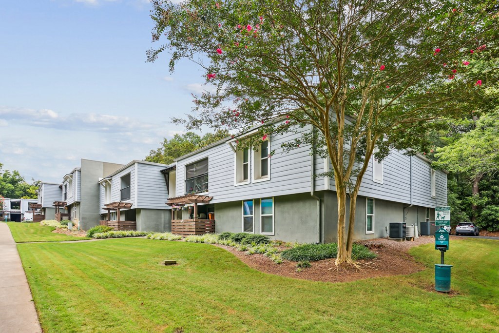 A tree with pink flowers is in front of a grey building.