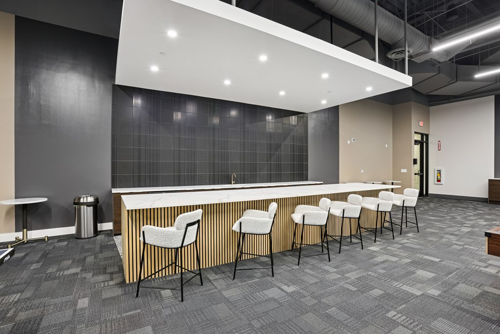 A row of white chairs are lined up in front of a bar.