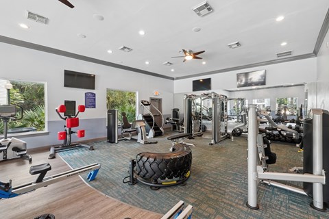 A gym with a variety of equipment including a treadmill, weights, and a bench press.