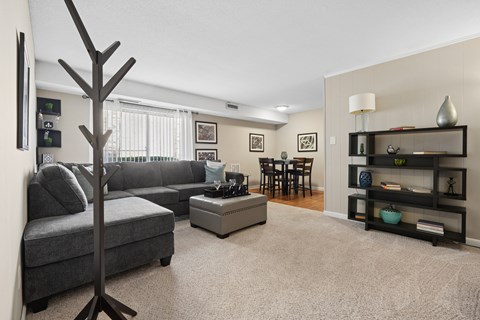 A living room with a grey couch, a tree-shaped object, and a shelf with various decorative items.