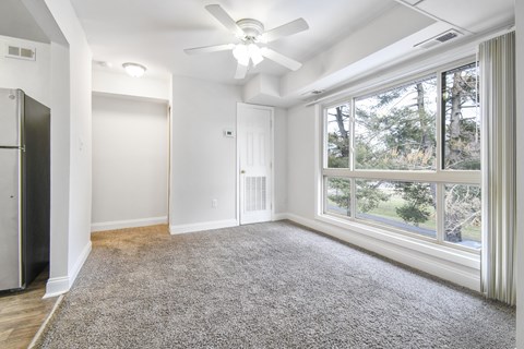 A spacious room with a ceiling fan and a large window overlooking a tree-filled area.