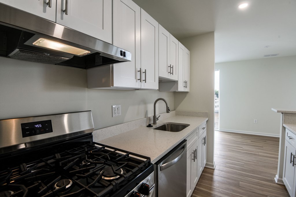 A modern kitchen with a stove, sink, and cabinets.