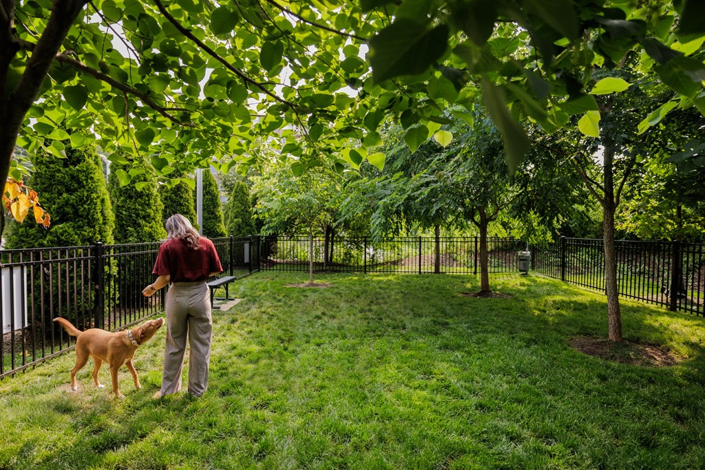 A man and a dog are standing in a grassy area.