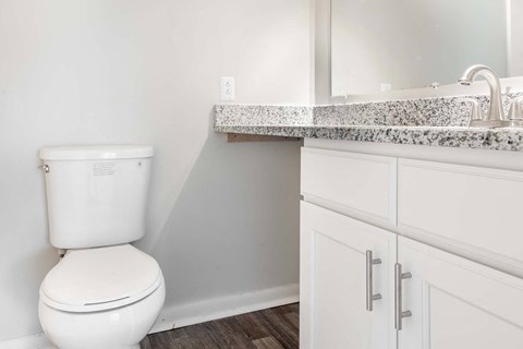 a bathroom with a sink and a toilet