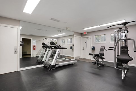 A gym with a treadmill, a weight bench and a squat rack.