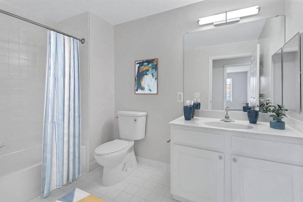 a white bathroom with a shower toilet and sink