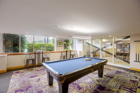 A pool table in a room with a view of the backyard.