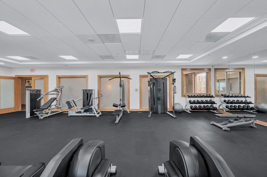 the gym at cosmo reston