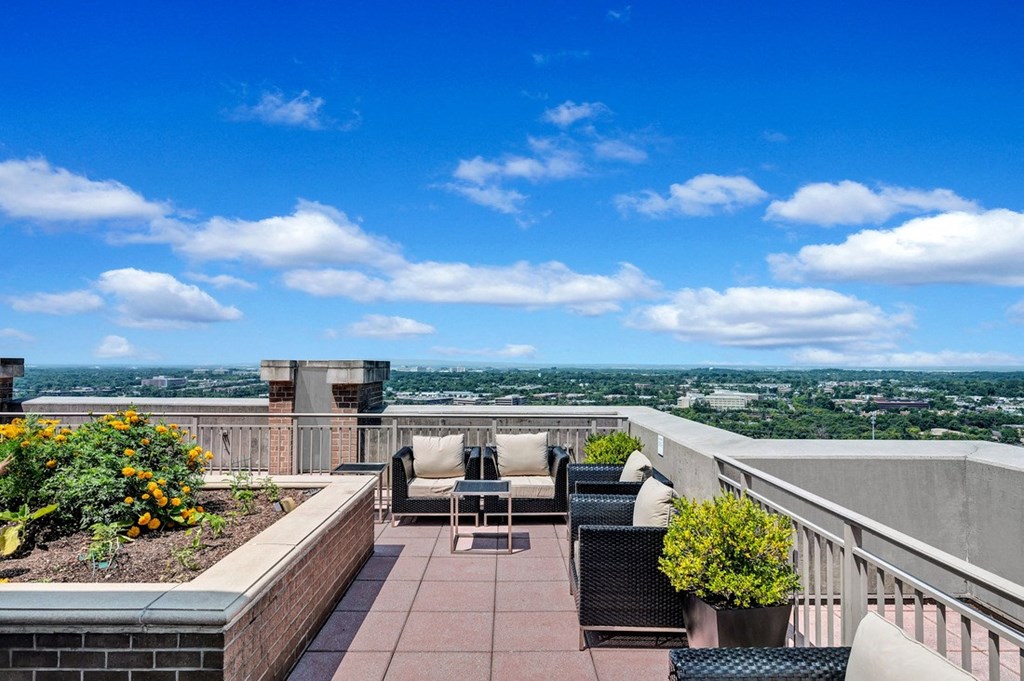 Sweeping city views from rooftop