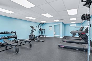 the gym is equipped with free weights and other exercise equipment