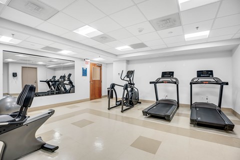 A gym with treadmills, exercise bikes, and other equipment.